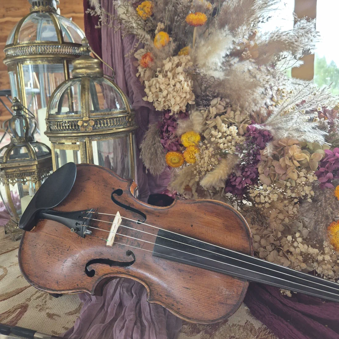 Sarah's 300-year-old violin resting against dried flowers