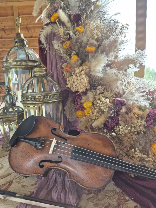 Violin resting against dried flowers