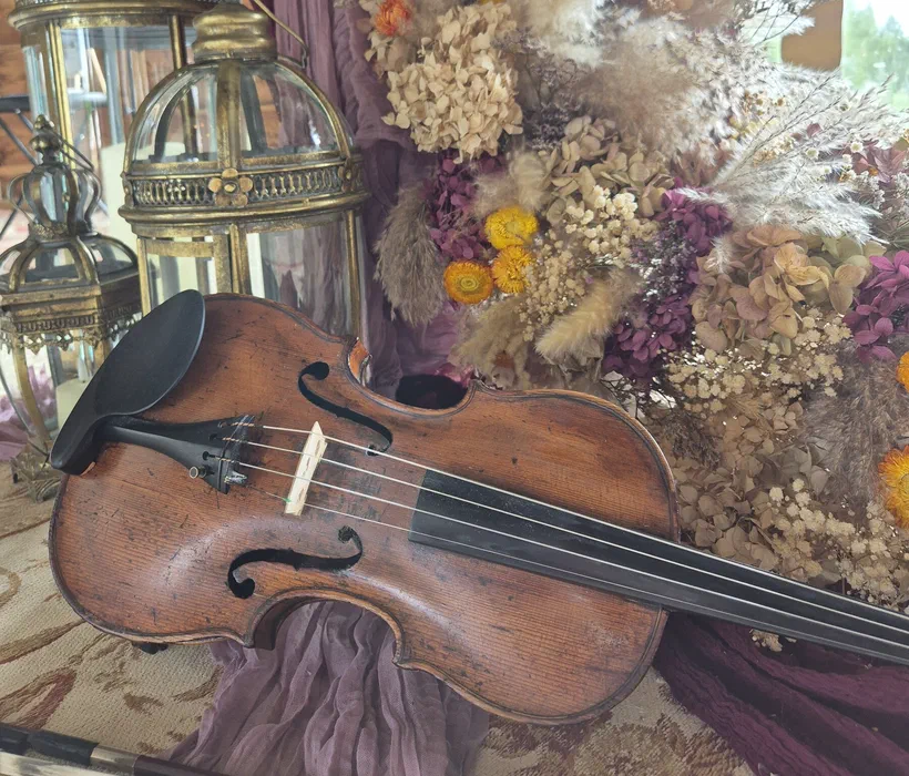 Sarah's 300-year-old violin resting against dried flowers