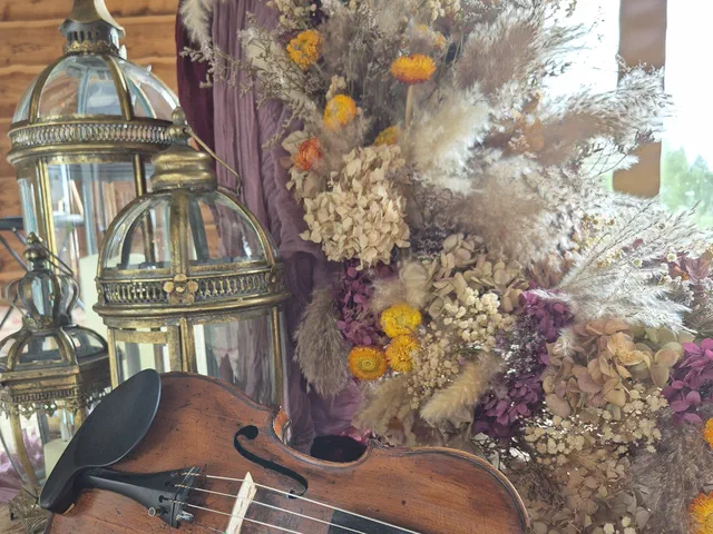 300-year-old violin resting against dried flowers